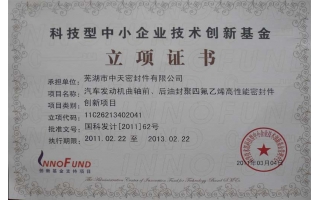 科技型中小企業(yè)技術(shù)創(chuàng)新基金立項(xiàng)證書